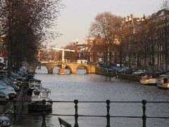 Looking towards Amstel River