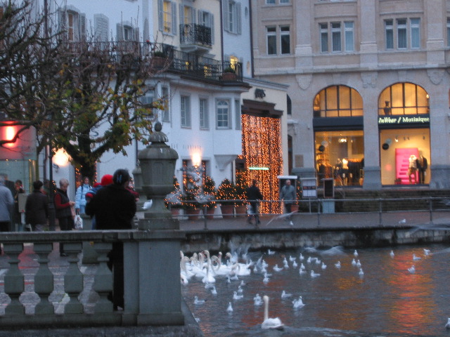 Nice shops and swans